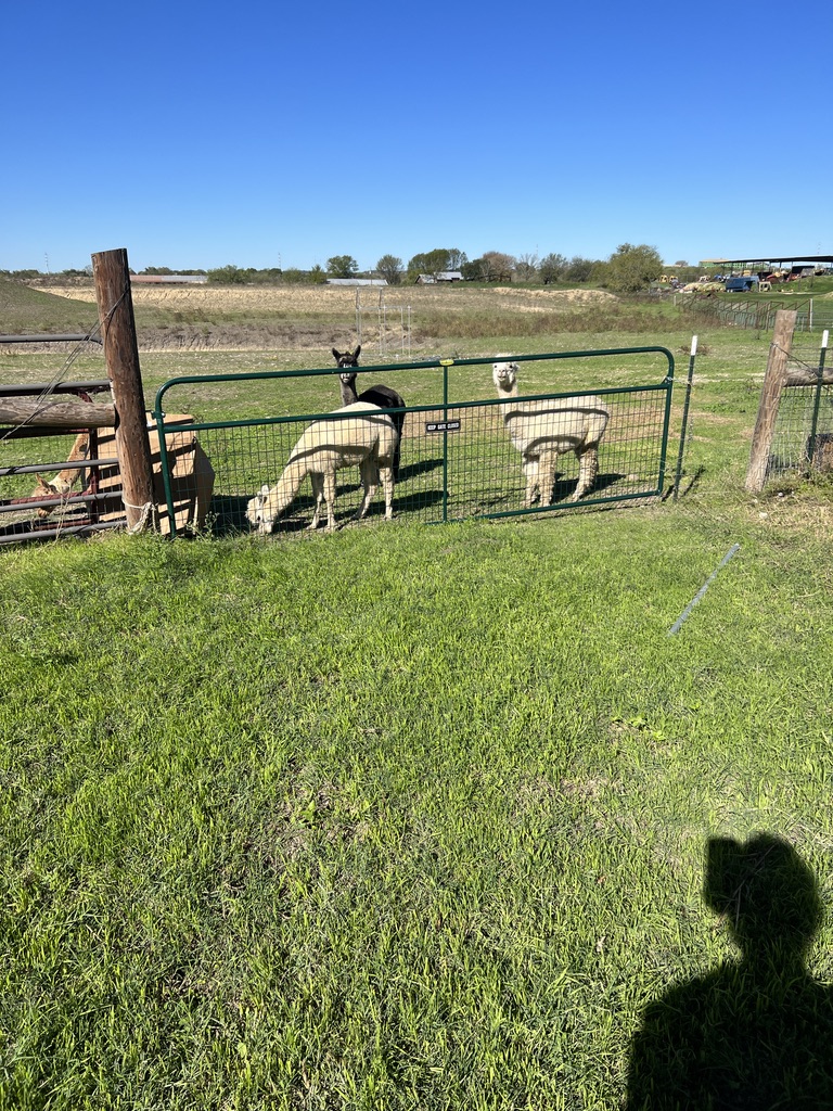 Farm Accommodations