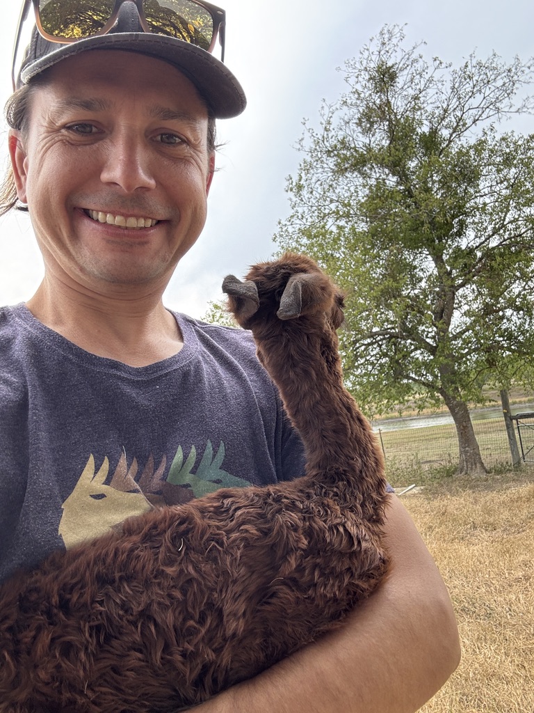 Farm owner with fluffy brown alpaca