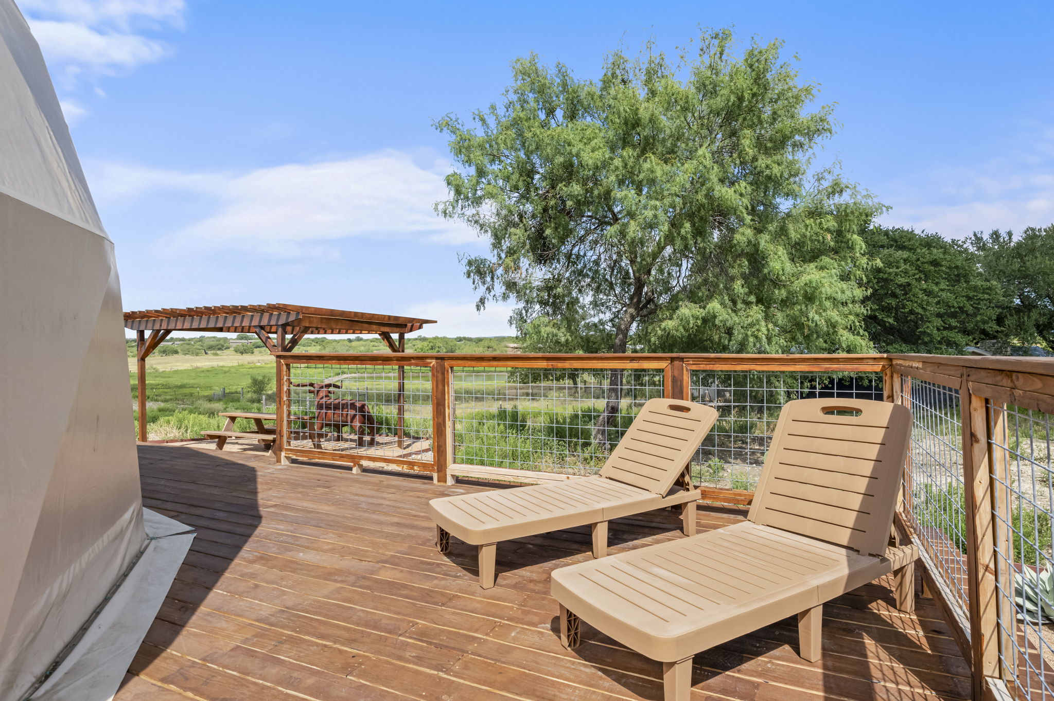 Wide view of dome property